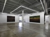 rubell_1sm